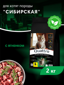 Корм сухой для котят породы Сибирская, с ягненком, 2кг, QUATTRO