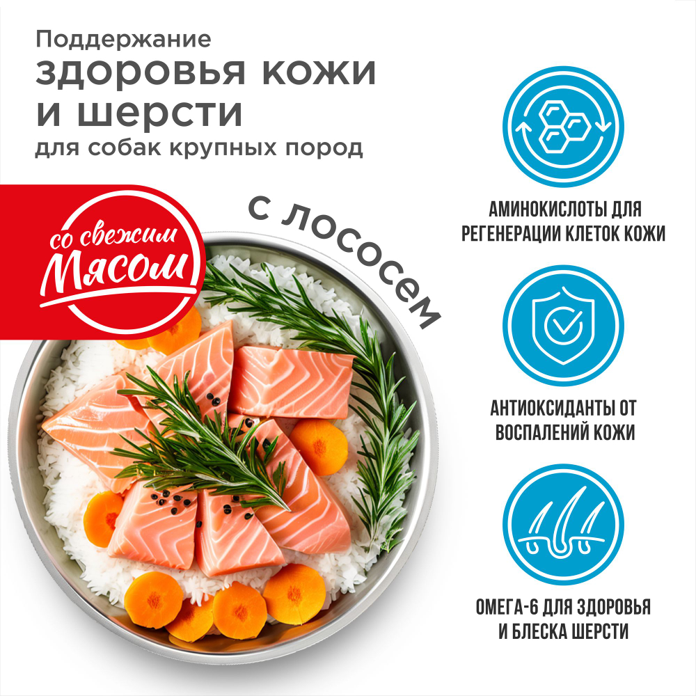 Корм сухой для взрослых собак крупных пород, премиум полнорационный комплекс, здоровье кожи и шерсти, с лососем, 12 кг, QUATTRO