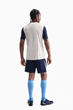 Шорты Nike Tottenham Hotspur 25/26 Strike - темно-синий