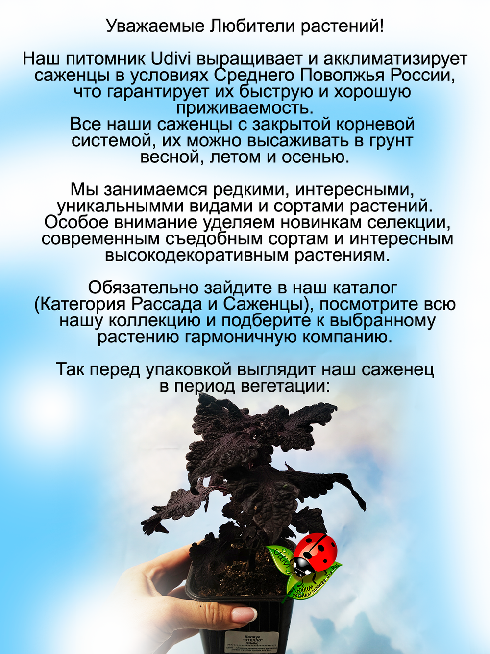 Колеус Отелло