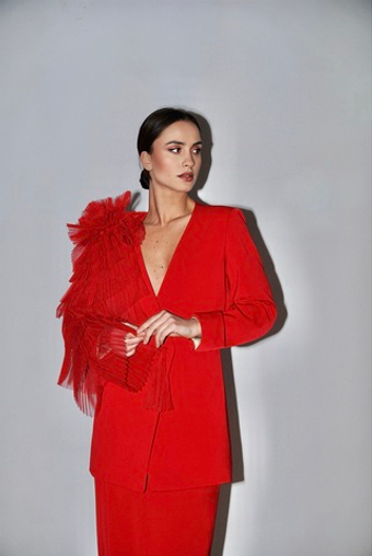 Жакет "Птица" с красным крылом