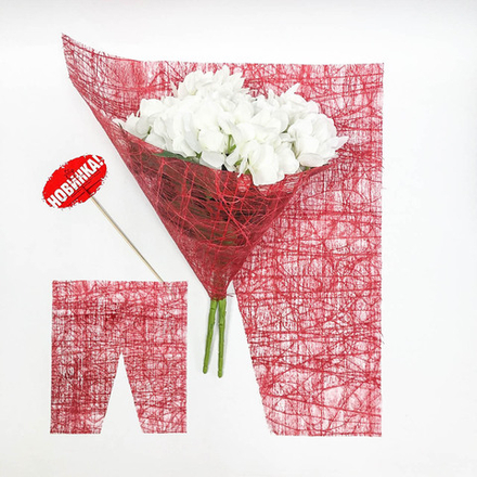 Сетка сизаль 53*60/5листов КРАСНЫЙ