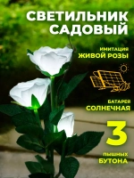 Светильник роза салатовый 3бут