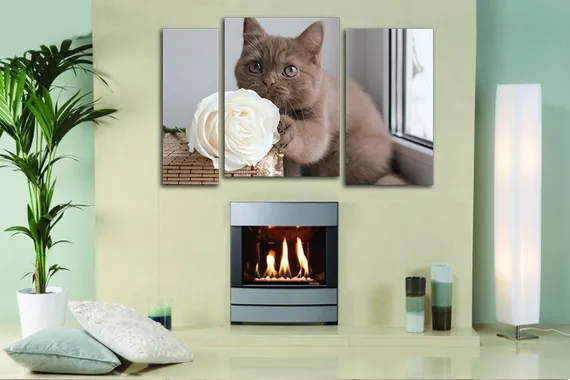 Модульная картина "Котенок с розой"