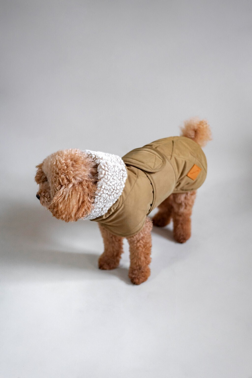 Попона "Пони-эскимони" мох