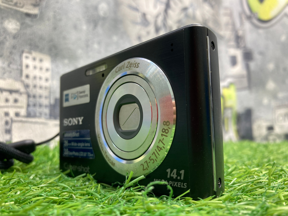 Sony W550
