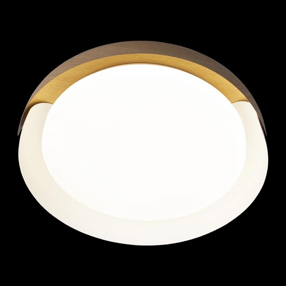 Накладной светильник Loft it Coin 10198 White