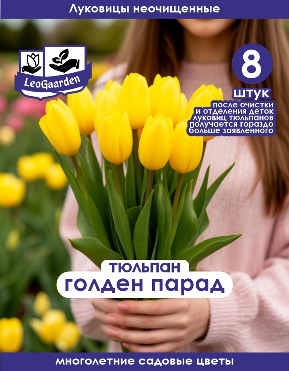 Тюльпан Луковица, Голден Парад, 8шт