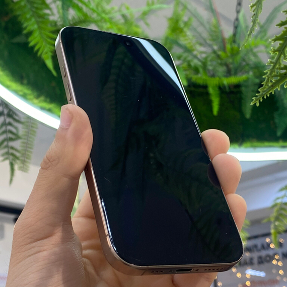 Apple iPhone 16 Pro 256Gb