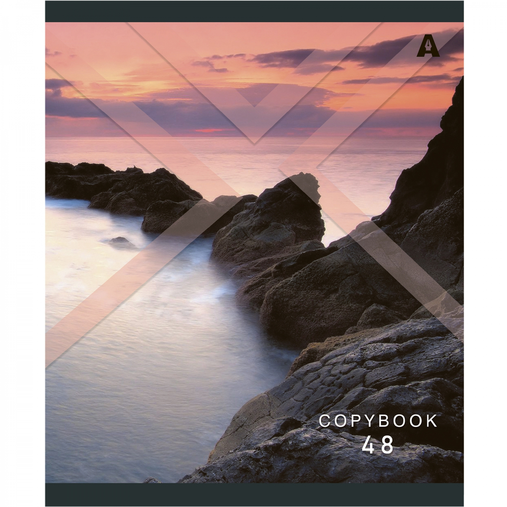 Тетрадь 48л., А5, клетка, Alingar "Необычный пейзаж", скрепка, мелованый картон ( стандарт), блок офсет, 5 дизайнов в пленке т/у