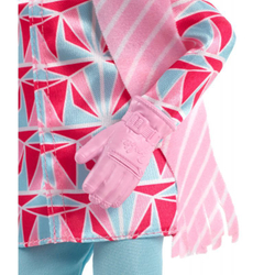 Barbie Winter Sports - Кукла сноубордист + аксессуары HCN32