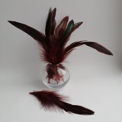 Перья петуха коричневые двухцветные 13 - 20 см. 20 шт.