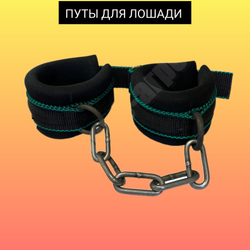 Путы