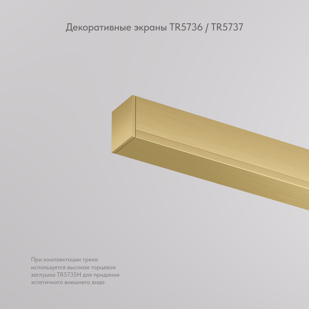 TR5737-SB Декоративная заглушка желоба трека, 50см, для трека Shine, серия Base, сатинированная латунь, алюминий