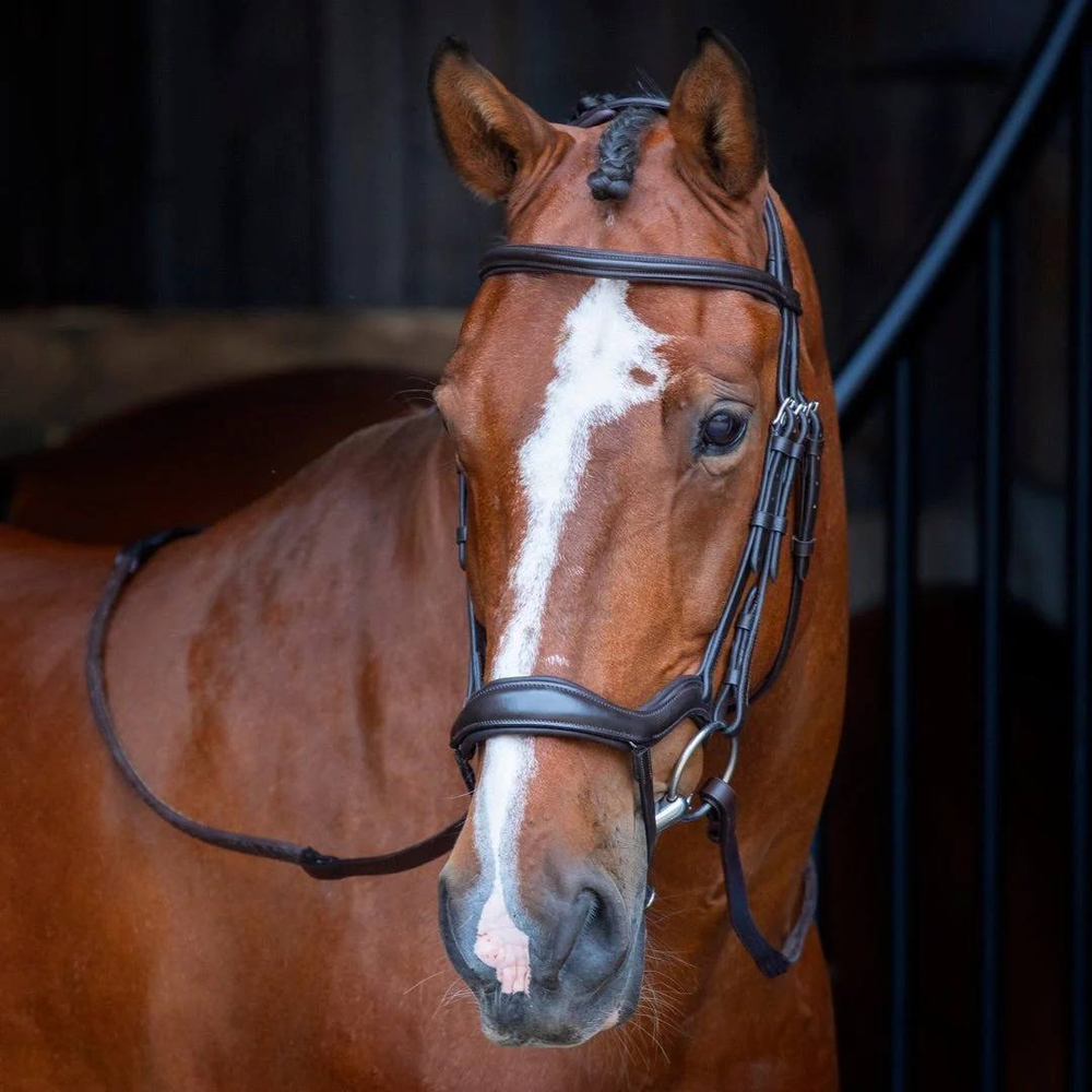 Оголовье трензельное Velociti RAPIDA Ergonomic Flash Bridle BLACK