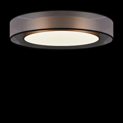 Накладной светильник Freya FR6005CL-L48G