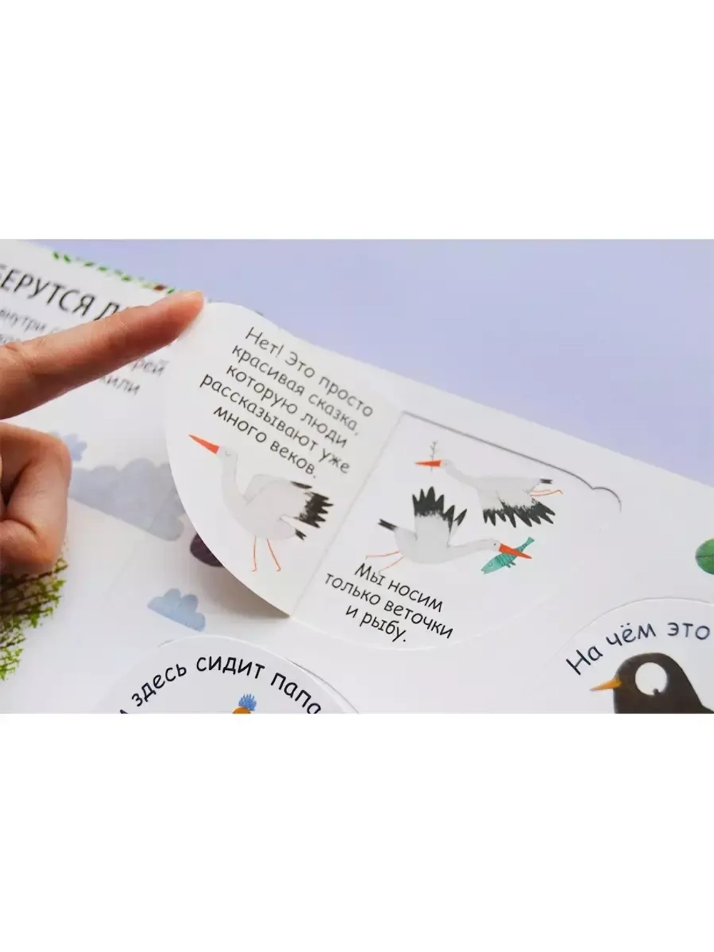 40 окошек. Откуда берутся дети