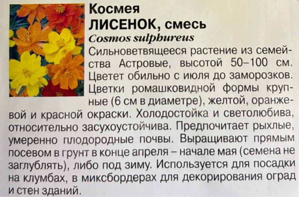 Космея Лисенок 0,3 г СМЦ-972