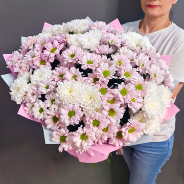 Букет из 17 кустовых хризантем