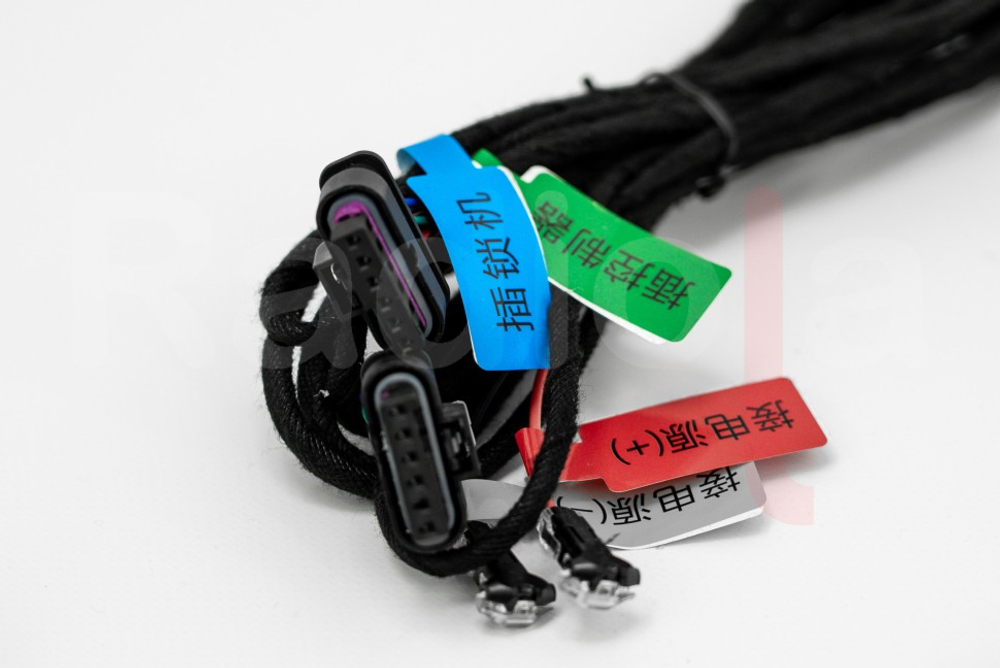 Автоматические доводчики на 4 двери для BMW X6 (F16/G06/F86) 2015-2022 - Radiola RDL-SAA-Z03