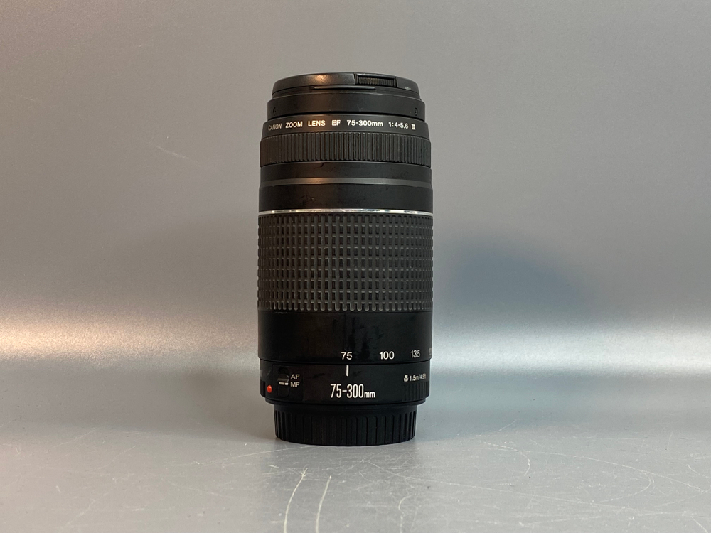 Canon EF 75-300mm 4-5.6 III