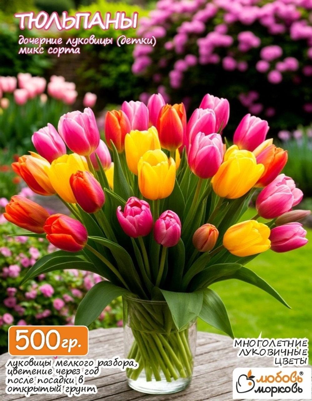 Тюльпан Луковица, дочерние, 500г