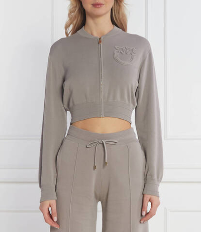 Худи Pinko - серый(102819 A115)