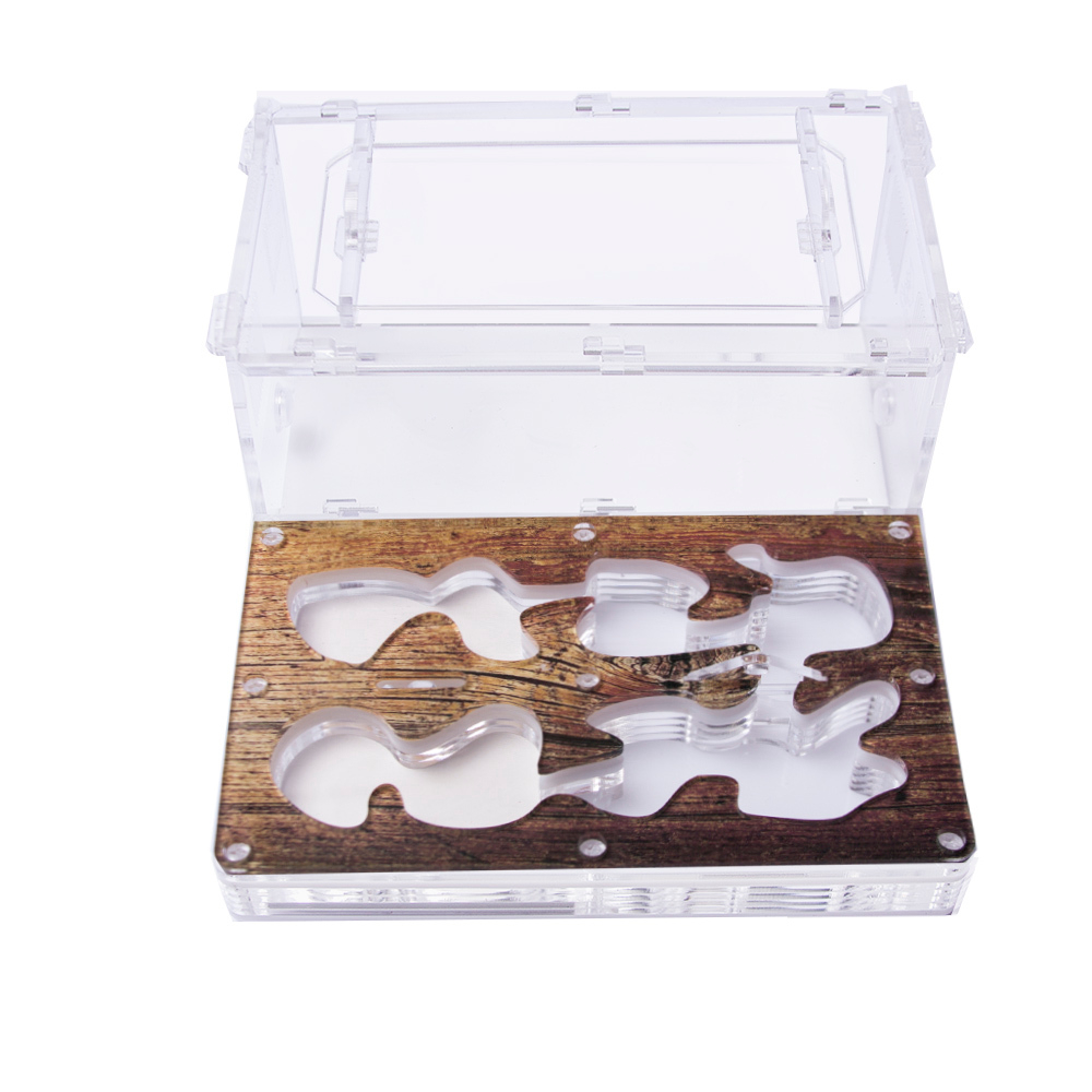 Муравьиная ферма Antrum M