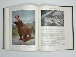 Корниш Чарльз Д. Жизнь животных. В 2-х т. В 2-х книгах. Москва. Издание Кнебель. 1909г.