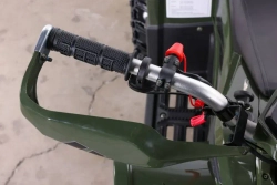 Электроквадроцикл Green Camel Гоби K90 (48V 750W R7 Дифференциал) Tao LUX