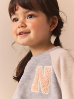 Толстовка и джоггеры в комплекте для девочки Next B77-241, Серый, Кремовый