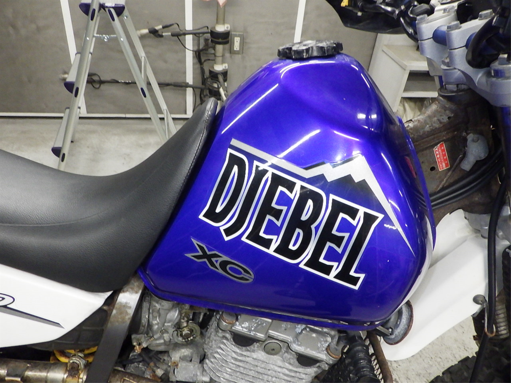 Suzuki Djebel 250XC 2002