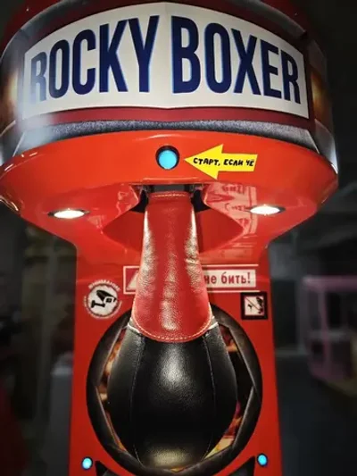 Рукав на грушу Rocky Boxer