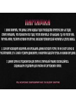 Скейтерский y2k рюкзак 24L