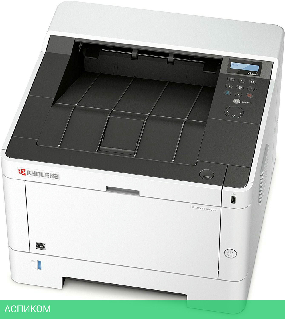 Принтер Kyocera Ecosys P2040DN (1102RX3NL0)