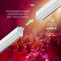 Светильник для растений, фитолампа светодиодная линейная ЭРА FITO-18W-PL-LINE 573-GR красно-синего спектра 18 Вт Т5 | Линейные фито светильники