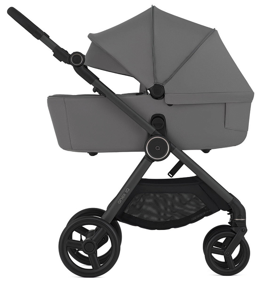 Детская коляска Anex IQ Basic NT x Avionaut Cosmo 3 в 1 Lune