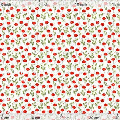 Цветы маки. Полевые цветы. Прованс by IrinaShishkova 1200 DPI