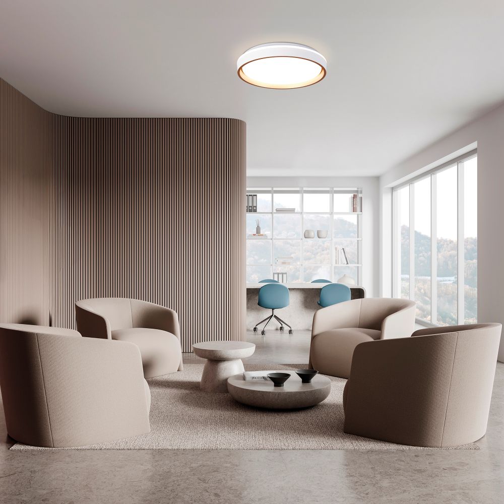 9026 Потолочный светильник VERONA