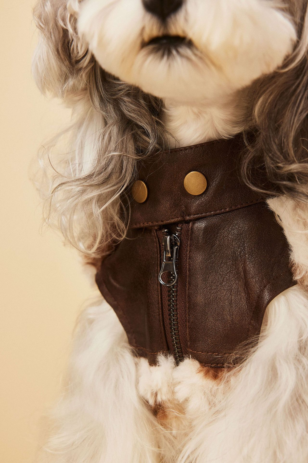 Жилетка для собак Ковбой