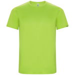 Мужская спортивная футболка Imola с коротким рукавом