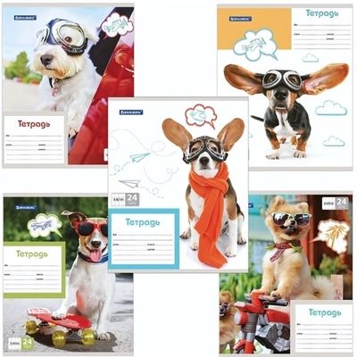 Тетрадь 24л. А5 клетка Brauberg MY BEST FRIEND обложка мелованный картон (9/18)