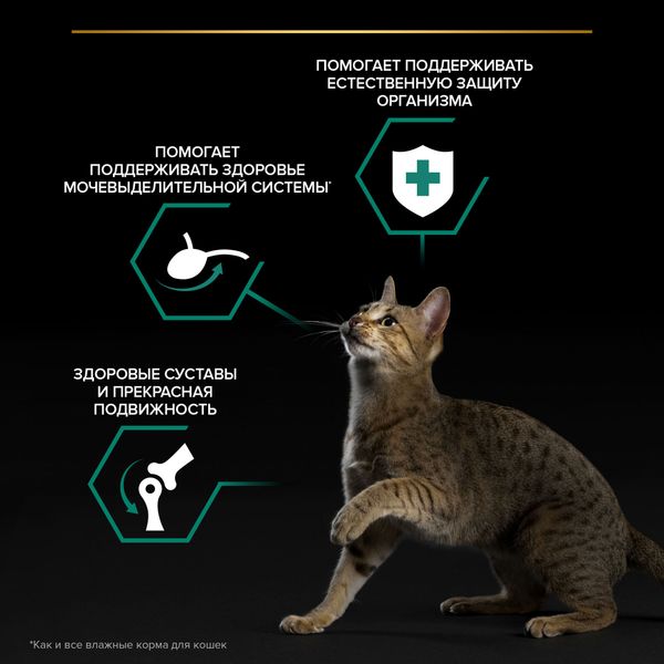 Пауч Pro Plan Adult для кошек с уткой, кусочки в соусе