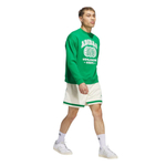 Баскетбольная толстовка adidas WWH Summer Of Sport Green Sweatshirt