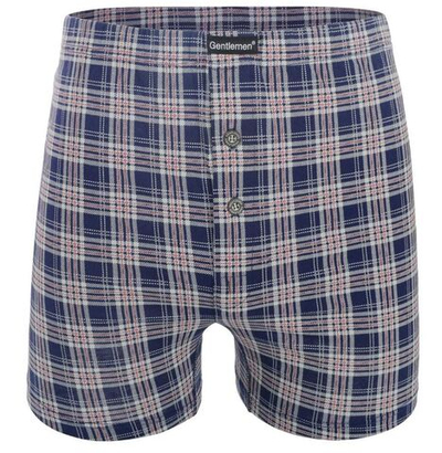 Трусы-боксеры свободного кроя в клетку (Размер: L) (Цвет: синий)