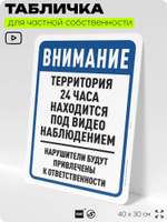 Табличка для частной территории "Внимание, территория находится под видеонаблюдением", на дом, для участка, организаций, предупреждающая, 40х30 см, Silver Plane x Айдентика Технолоджи