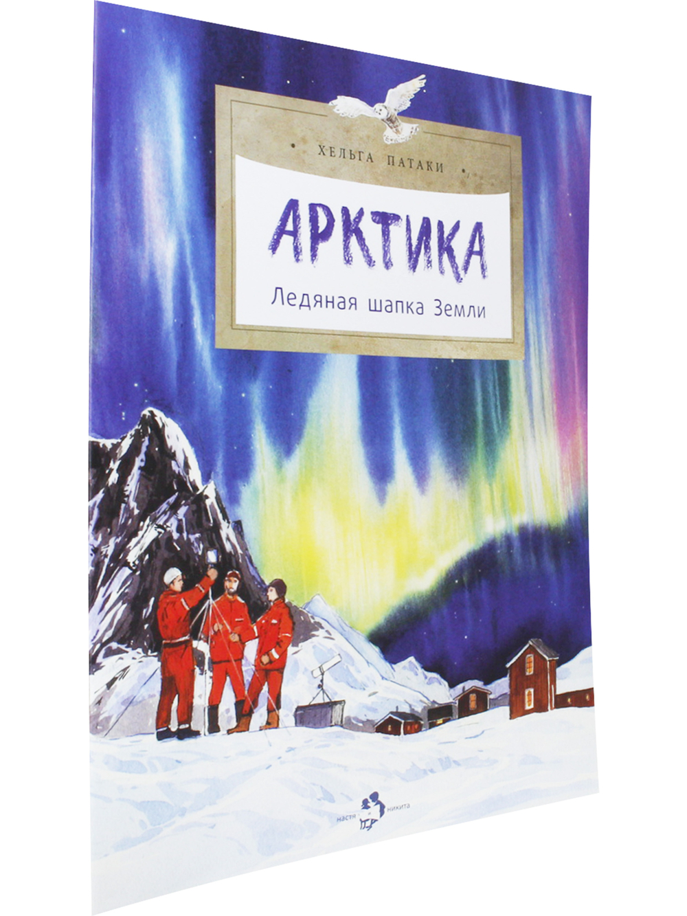 Арктика. Ледяная шапка Земли