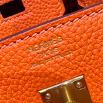 Hermes Birkin 25