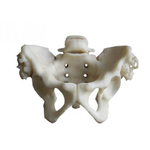 3D принтер EP-C3650