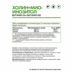 БАД Холин + Мио-Инозитол 60 капс. (Naturalsupp)